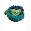 Darn Good Yarn Yarn of the Month Exclusive Colorways — feature highlight