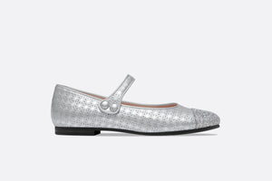 Ballerina Flat • Silver Microcannage Lambskin