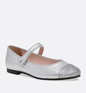 Ballerina Flat • Silver Microcannage Lambskin