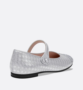 Ballerina Flat • Silver Microcannage Lambskin