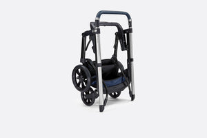 Stroller • Blue and Beige Water-Repellent Canvas with Dior Oblique Print