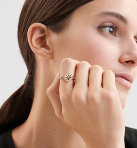 Rose Des Vents Ring • Yellow Gold, Diamonds and Mother-of-Pearl