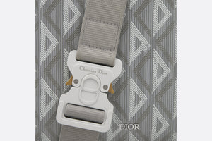 Dior Lingot Pouch • Dior Gray CD Diamond Canvas and Smooth Calfskin