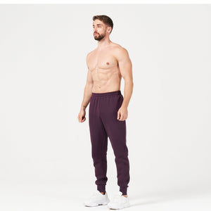 Lab360° DryLite Joggers - Plum Perfect