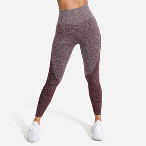 Marl Seamless Leggings - Burgundy