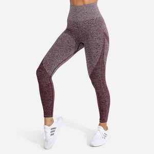 Marl Seamless Leggings - Burgundy