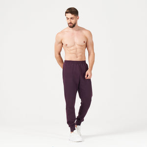 Lab360° DryLite Joggers - Plum Perfect