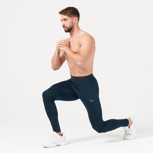 Lab360° TDry™ Gym Tights - Navy