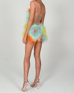 Attia Dress in Festival with Bespoke Net